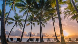 Canopy House - Palm Cove - 8