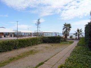 Appartement cosy avec terrasse et animaux admis à Balaruc-les-Bains - FR-1-503-38 - 1