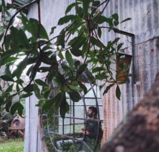 Chaperío magnífico - 4