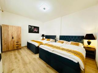 Modern Gem near Karlovy Vary Center - 4