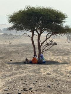 Merzouga Infinity Dunes Camp - 7