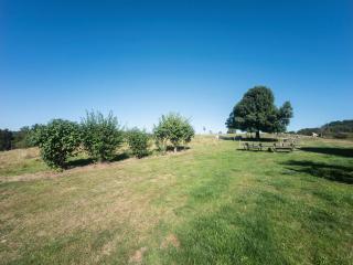 Holiday home with private terrace - Girmont-Val-dʼAjol - 2