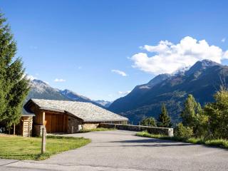 Chalet d'architecte calme à La Rosière avec garage - FR-1-690-36 - 2