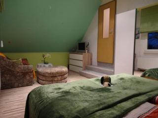 Holiday Home in Schmogrow Fehrow - Schmogrow - 1