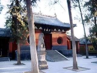 James Joyce Coffetel Zhengzhou Aquarium Chenyan Flower - 6