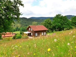 holiday house in the Bavarian Forest - Drachselsried - 0