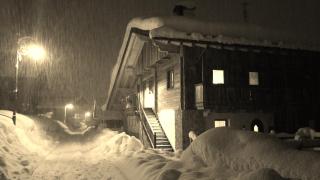 Kratter Alpenplick - Sappada - 2