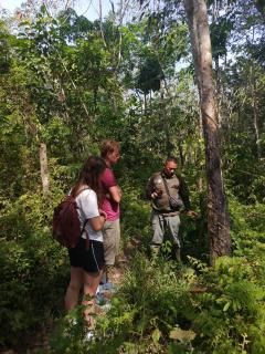 Batu Katak Jungle River & Trekking - 7