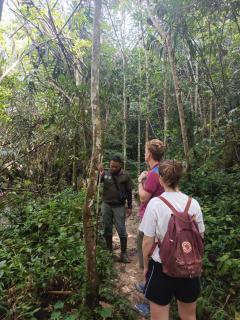 Batu Katak Jungle River & Trekking - 8
