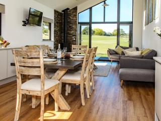 Melbury Lodge - Uk31009 - 8