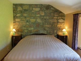 Spacious holiday home in Theux with swimming pool - Desnié - 1