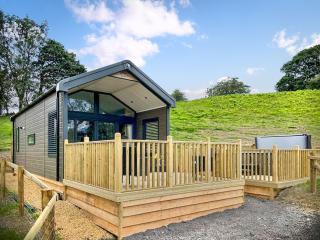 Oak Tree View - Ukc8193 - 0