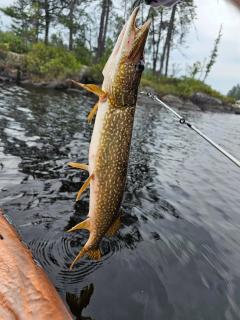 Refuge Boréal - Bord du lac paisible - 4
