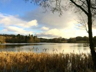 Gamekeeper's Cottage - Ukc5239 - 4