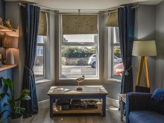 Avocet - Ukc5446 - 6