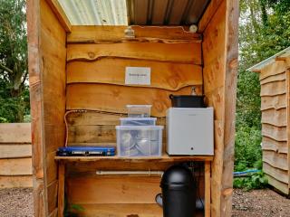 Cowslip- Ukc4942 - 8