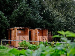 Cowslip- Ukc4942 - 3