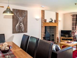 The Stag-Ukc5066 - 6