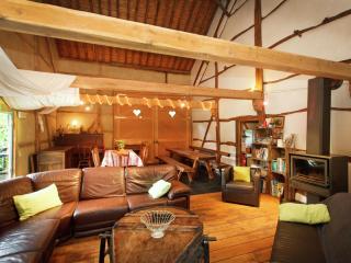 Renovated cottage in the middle of nature - Bournoufay - 0