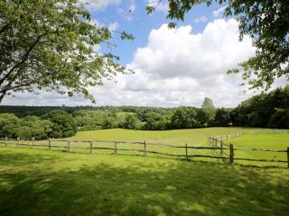 Elm Cottage - 3