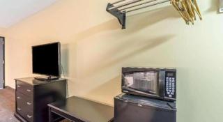 Econo Lodge Martin - 5