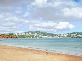 Shells Shore - Ukc6173 - 5