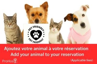 Studio 7 Steve Jobs Clim 5 min centre-ville - 9