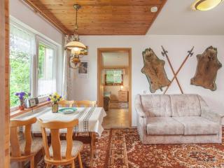 Holiday home near the ski area - Kurort Steinbach-Hallenberg - 1