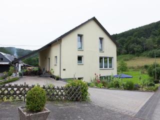 Apartment with terrace and view - Merschbach - 0