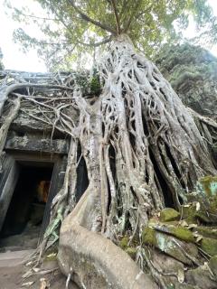 Découvrez Angkors wat avec un guide francophone à Siem Reap - 3