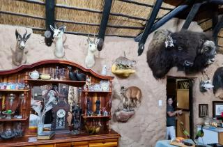 Hillendale Game Ranch - 1