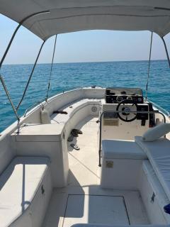 Roxer boat tours - 9