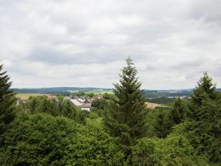 Holiday home in Rascheid near forest - Geisfeld - 4