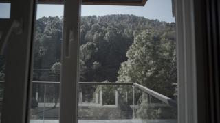 Pine Needles kasauli - 8