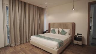 Pine Needles kasauli - 4