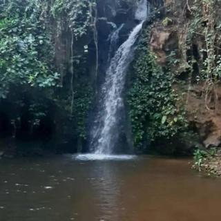 La montagne verte - 2