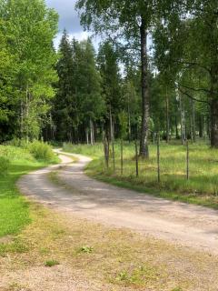 Johansberg ein Schwedischer Traum! - 8