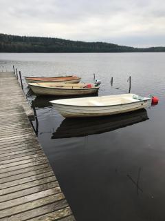 Johansberg ein Schwedischer Traum! - 4