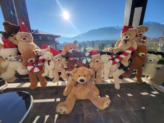 Aspen Suites Pirin View F305 - 4