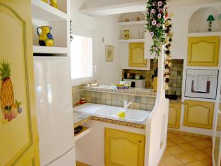 Villa in Provence with Pool and Garden - Saint-Paul-en-Forêt - 7