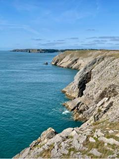 Olive Buildings - Spa Room Garden and Parking Permit - 5