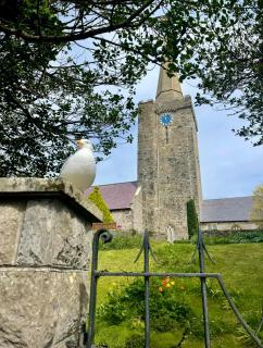 Olive Buildings - Spa Room Garden and Parking Permit - 8