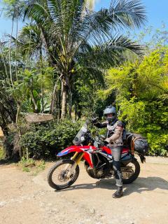 Treetops ella - Ella - 1