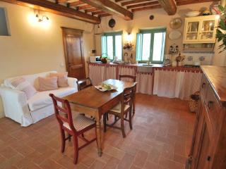 Characteristic cottage with private pool - Castiglion Fiorentino - 9