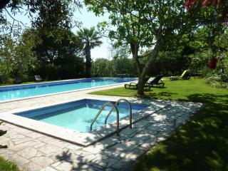 Holiday home in Montemor-o-Novo with pool - Montemor-o-Novo - 1