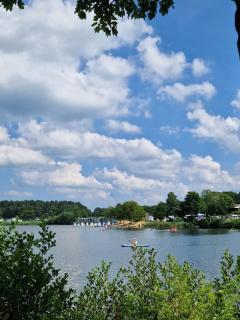 Chalet Schwarzkopfmöwe am Kransburger See 549 - 6