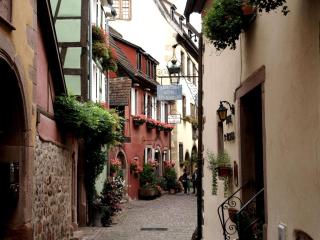 A studio apartment in wine grower's house - Riquewihr - 7