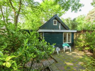 In the middle of the Gooise landscape - Huizen - 0