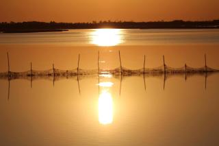 Casetta STELLA MARINA PUNTA SABBIONI - 9