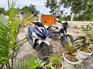 Traditional Native Bamboo Bungalow - 4